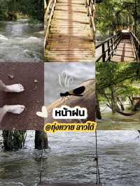 เยือนทุ่งหวาย @ลาวใต้ 2 วัน 1 คืน