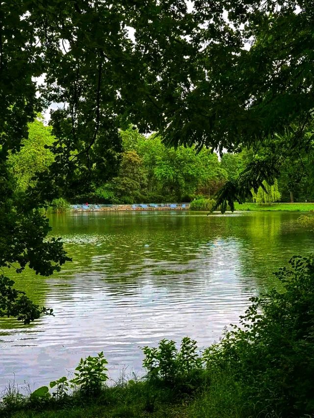GreenHeartbeat – A Moment in Clara-Zetkin-Park, Leipzig