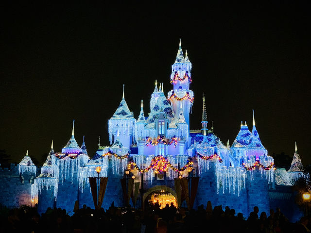 Disneyland in One Day: Kid-Friendly Family Plan