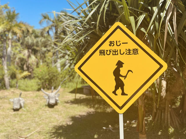 【沖縄】西表島人気の観光スポット