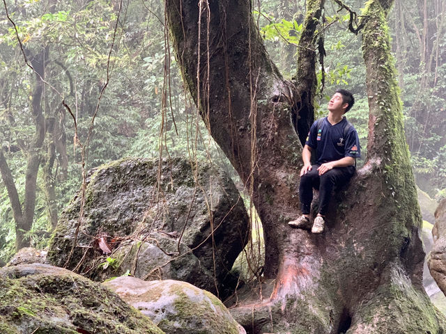 🌿 Bengoh Dam：在雨林秘境走一場真實的冒險