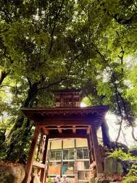 松山｜四國遍路最靈驗的石手寺 神秘智慧之輪、能量石傳說