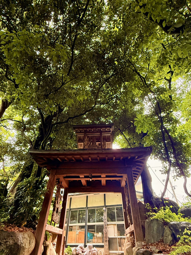 松山｜四國遍路最靈驗的石手寺 神秘智慧之輪、能量石傳說