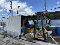 Whitianga