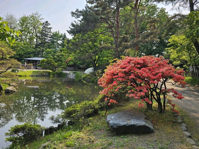 「北海道~札幌」市內剪映！在風和日麗的六月。
