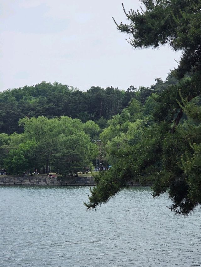 마음이 맑아지는 시간🌿
