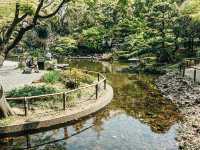 橫濱🇯🇵彼我庭園