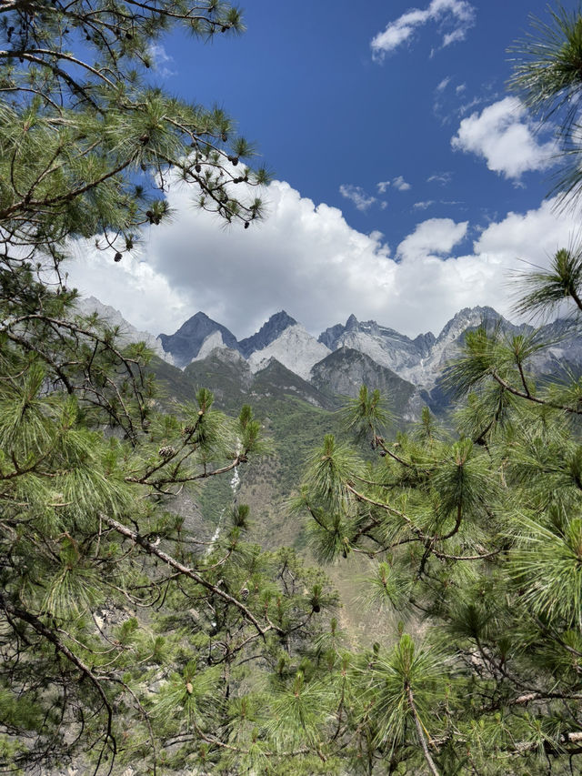 2 Days Trekking - Tiger Leaping Girge