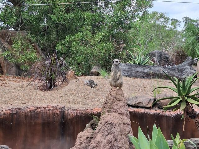 Australia Zoo