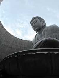 🪷 静寂の中に佇む、大仏とラベンダーの丘。 #仏の丘 #ヒルオブザブッダ #札幌観光 #癒しの景色 #北海道旅