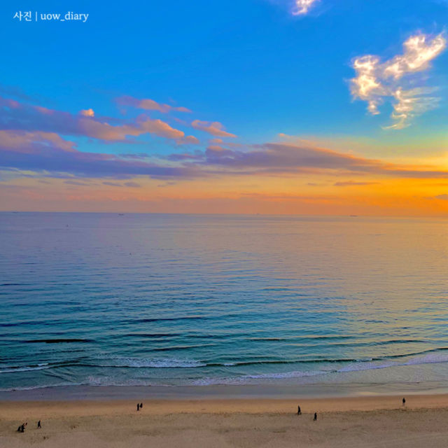 🌊 해운대 핫플 정복! 인생샷 가득한 1박 2일 코스 📸