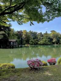 四季が彩る日本庭園🌸兼六園で心ほどけるひとときを