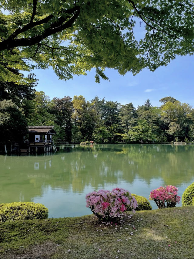四季が彩る日本庭園🌸兼六園で心ほどけるひとときを