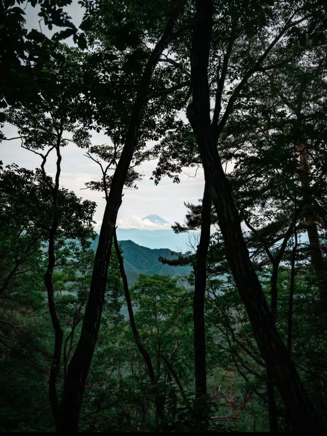 【昇仙峡で渓谷美に癒される旅】奇岩と滝が織りなす絶景ハイキング🌿🏞️
