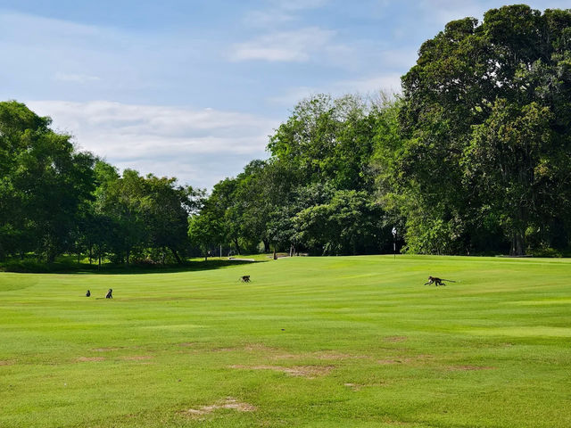 The Els Club Desaru Coast - Ocean Course