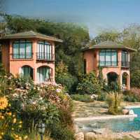 The Elephant Treehouse