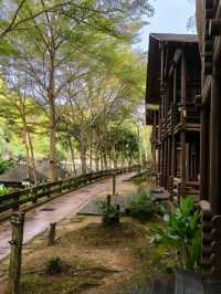 🍃✨ Philea Resort & Spa Melaka – Sleep in a Wooden Wonderland! 🏡🌿