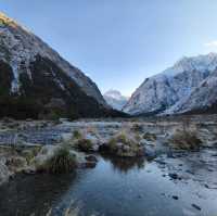 Magical Journey to Milford Sound: A Scenic Adventure You’ll Never Forget