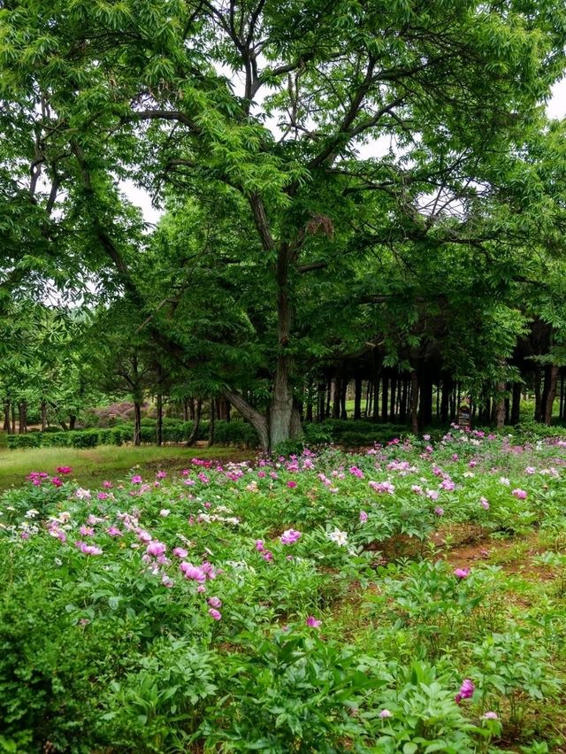 A Sweet Little Escape at Agape Garden