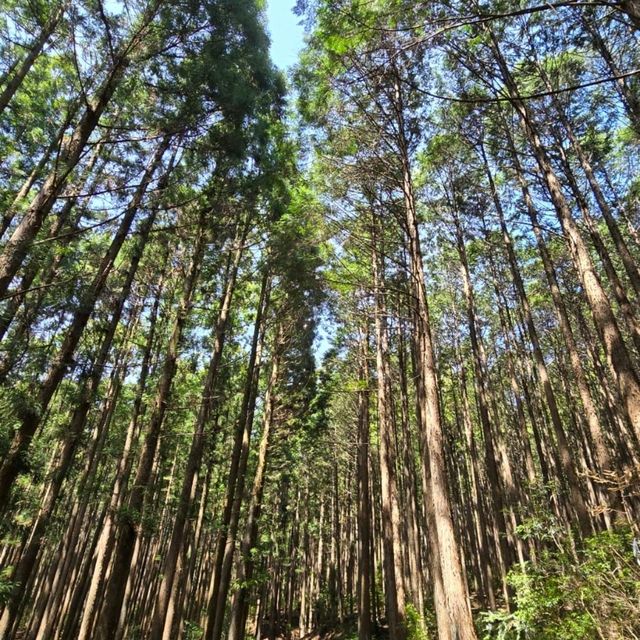 和歌山市3日遊攻略