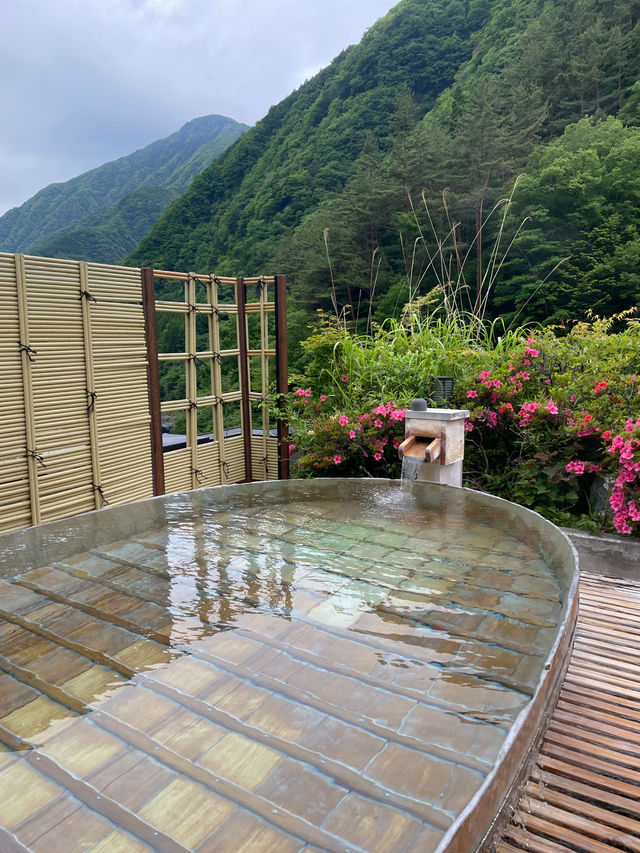 【山梨】人生で一度は泊まりたい最高の旅館♨️