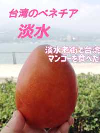 台湾✨初めて行く『台北』3日間の初心者攻略を教えて✨