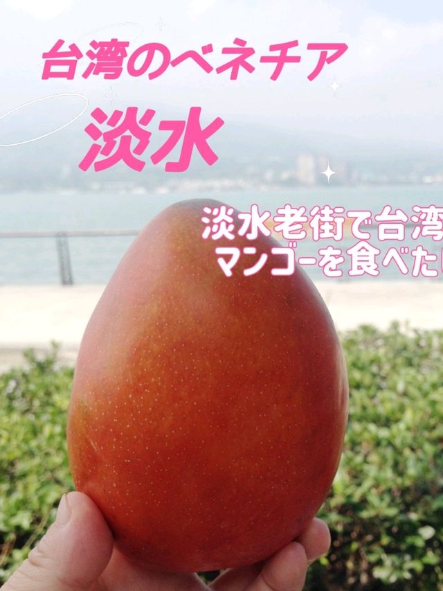台湾✨初めて行く『台北』3日間の初心者攻略を教えて✨