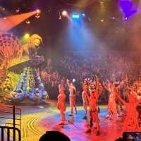 Magical Hong Kong Disneyland