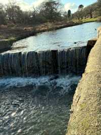 Bradgate Park