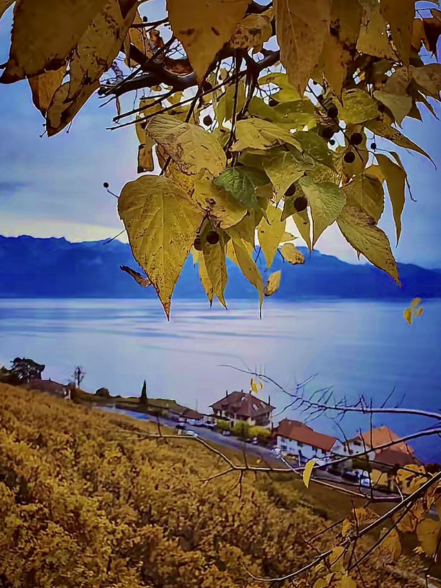 สวิตเซอร์แลนด์🇨🇭