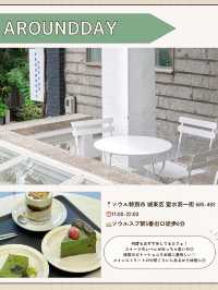 🇰🇷🌳ソウルの森！本命カフェ5選