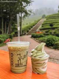 Green Tea Field