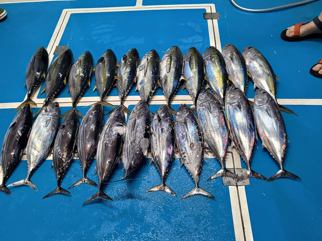 「跳脫日常，擁抱湛藍──我的綠島療癒之旅」