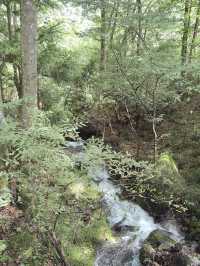 自然を感じられる岐阜のオススメスポット