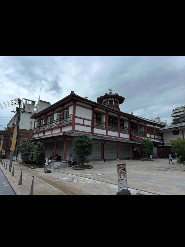 【道後温泉本館】日本最古の温泉で心も体も癒される旅♨️