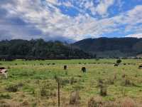 Tasmania never cease to amaze