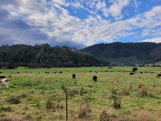 Tasmania never cease to amaze