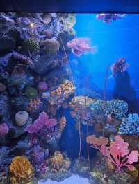 Sea Life Bangkok Ocean World ต้องมาให้ได้!