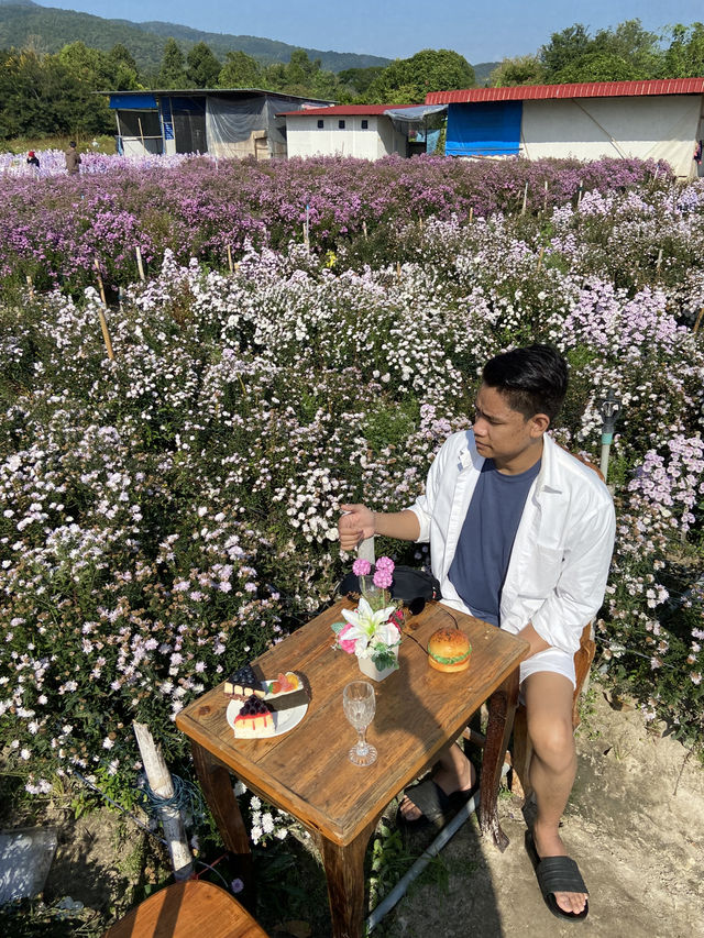 รีวิว Orange Garden “My Garden” – ม่อนแจ่ม 🍊
