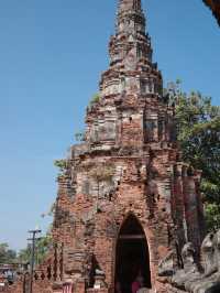 Ayutthaya historical park 阿瑜陀耶古城