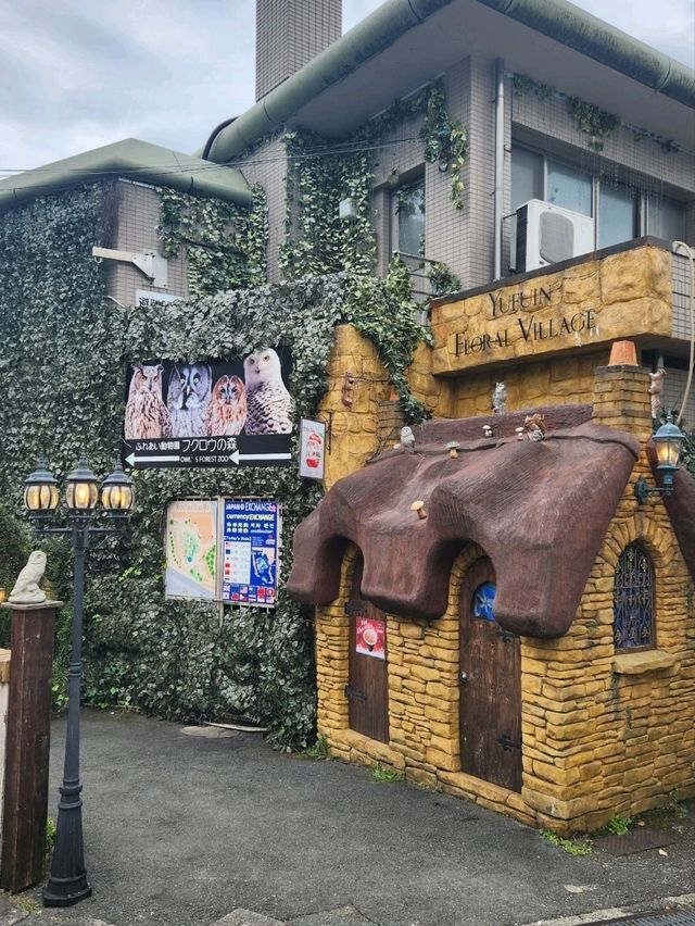 由布院別府2日1夜遊～～