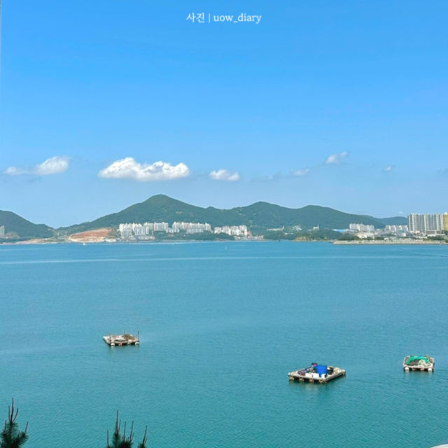 빛과 예술이 만나는 그 곳! 여수 아르떼뮤지엄탐방⭐️✨