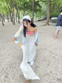 หาดเทียนเกาะล้านที่ไม่ควรพลาด น้องห่านน่ารัก