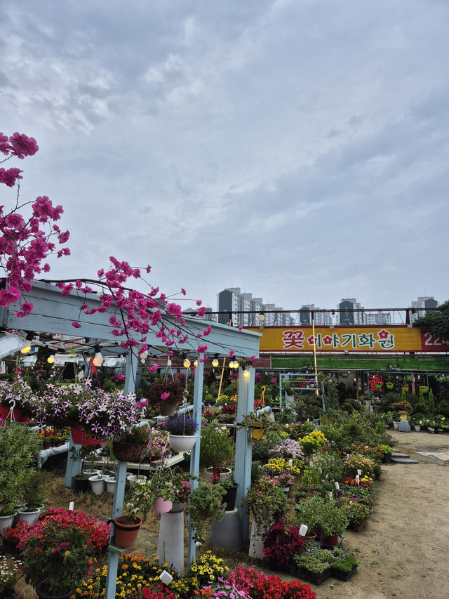 🌼 꽃이야기화원, 일상에 피어나는 동탄의 작은 정원
