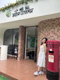 #小啡樅 
