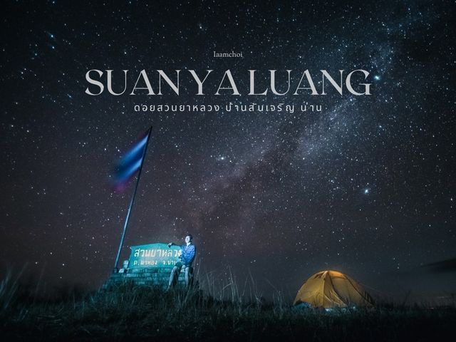  ดอยสวนยาหลวง, น่าน นอนดูดาว เคล้าสายหมอก 