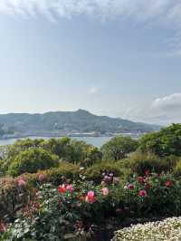 🏡異国情緒あふれる丘の上の庭園、グラバー園で時空を旅する🌿
