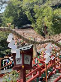 🦊【打開神域山林｜佐賀祐德稻荷神社】千本鳥居下的心願與祝福🌿⛩️