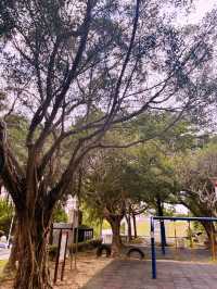 桃園忠義公園介紹 🌳