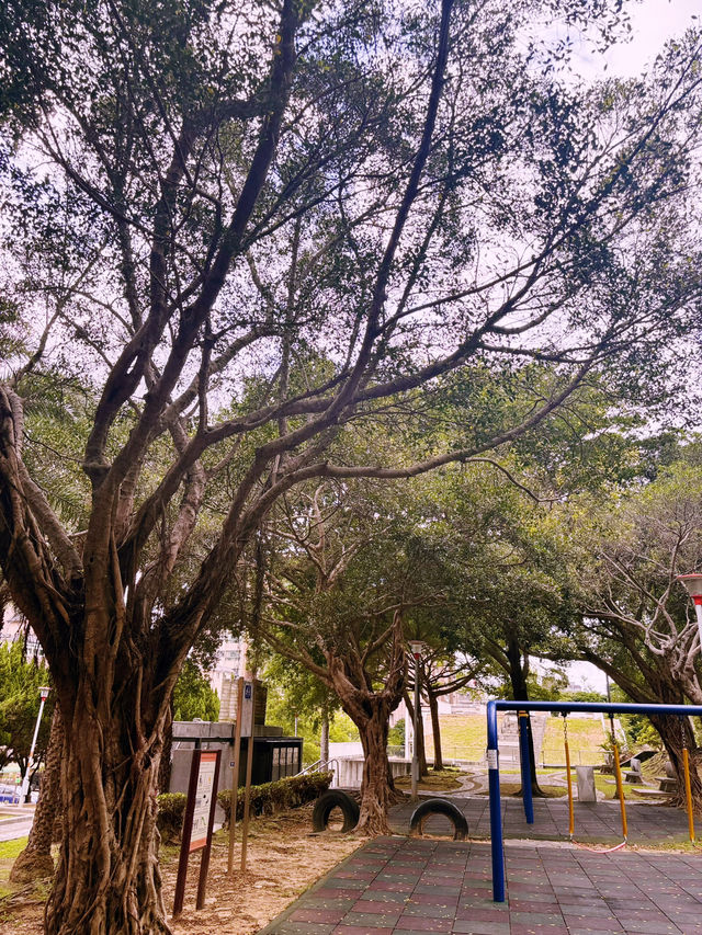 桃園忠義公園介紹 🌳
